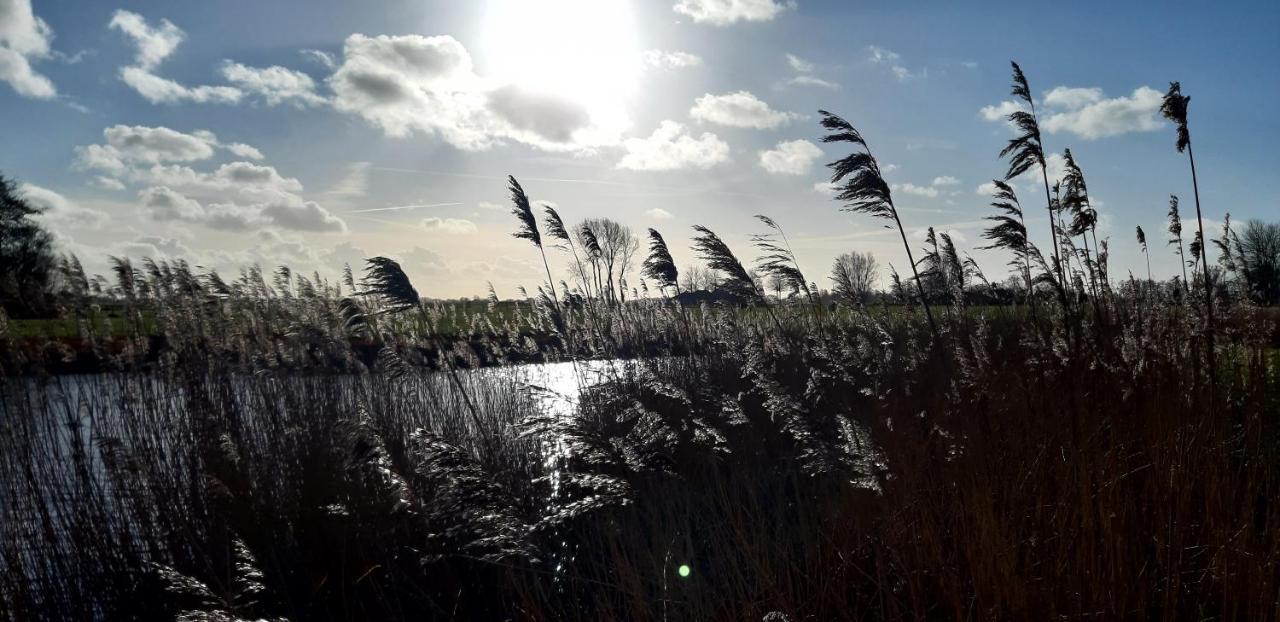 Tuinhuis Lutjewinkel Exteriör bild