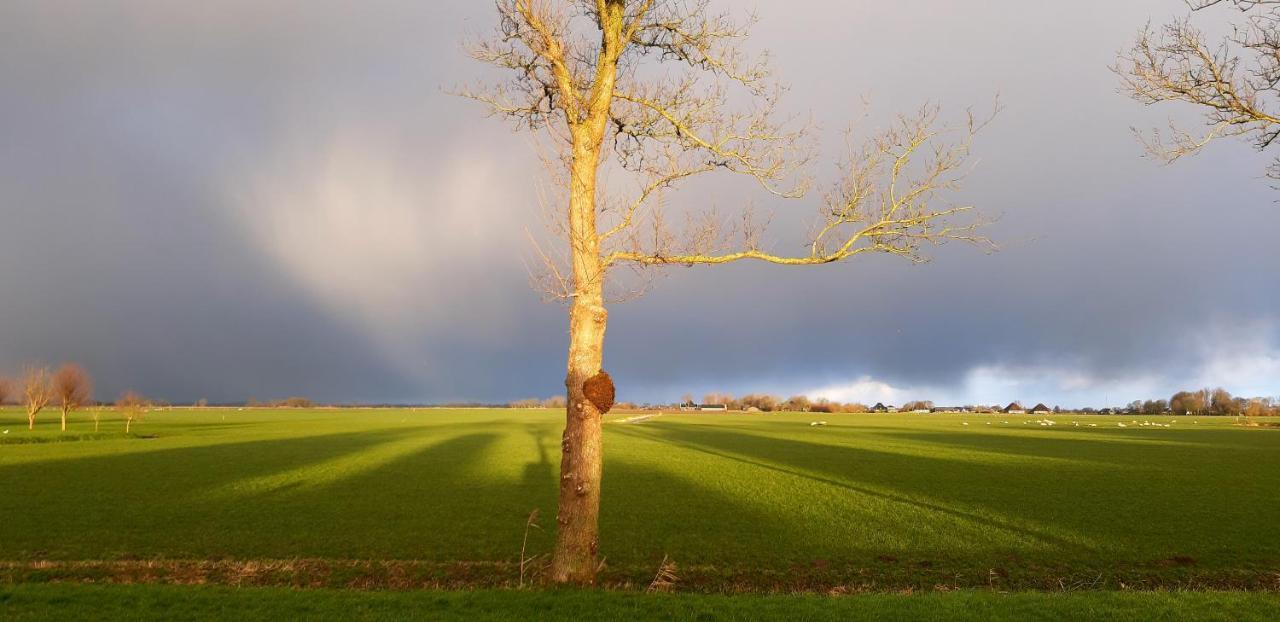 Tuinhuis Lutjewinkel Exteriör bild
