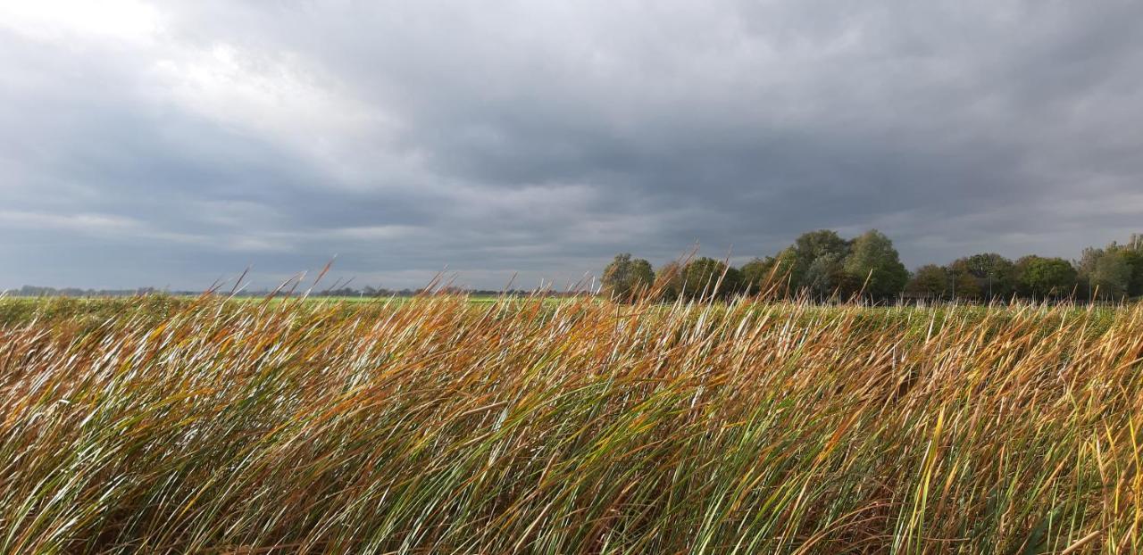 Tuinhuis Lutjewinkel Exteriör bild