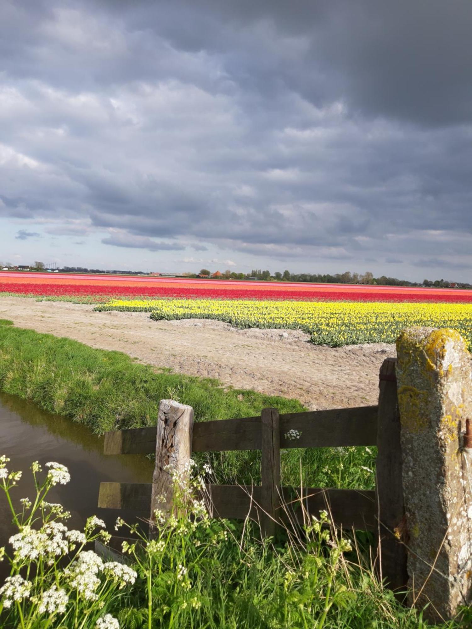 Tuinhuis Lutjewinkel Exteriör bild