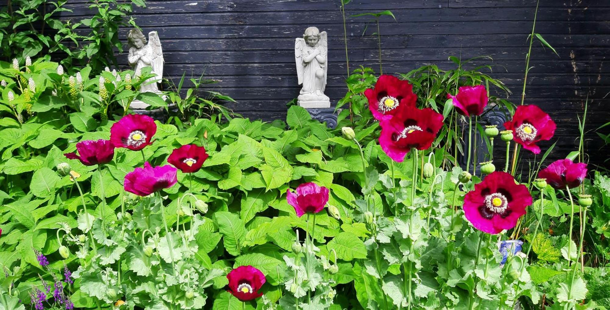 Tuinhuis Lutjewinkel Exteriör bild